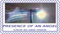presence of an angel click to see more