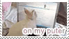 spreading misinformation on my puter