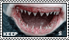 shark keep smiling
