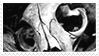 cat skull