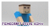 minecraft steve kin