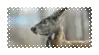 vampire deer
