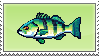 bass