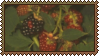 blackberries