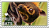 i love fruit bats
