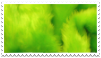 neon green fur