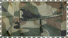 camo