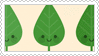 leaves