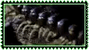 centipede