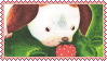 poky puppy