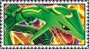 rayquaza
