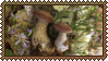 mushrooms