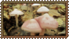 mushrooms