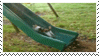 dog slide