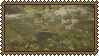 stream
