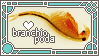brachiopoda