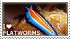 i love flatworms