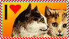 i heart cats