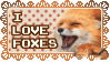 i love foxes