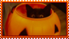 pumpkin cat