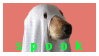 spook dog