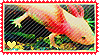 axolotl