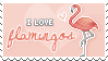 i love flamingos
