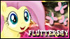 fluttershy
