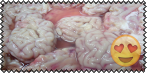 brains