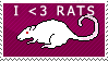 i love rats