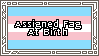 assigned fag at birth