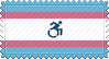 disabled trans flag