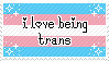 i love being trans