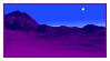 nighttime desert