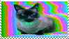 glitchy cat