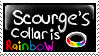 scourges collar is rainbow