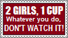 2 girls 1 cup whatever you do dont watch it