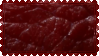 dark raw meat