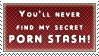 youll never find my secret porn stash