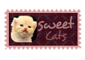 sweet cats