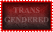 trans gendered are living people not your personal sideshow freaks scapegoats novelty toy kink fetish or sex fantasy. treat them as people