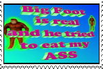 big foot is real and he tried to eat my ass