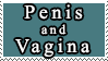 penis and vagina not pee pee woo woo front butt