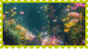 reef