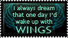 i always dream that one day id wake up with wings