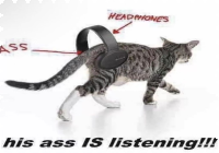 his ass is listening