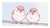 2 birds