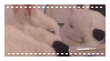 bunnies