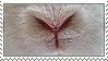 bunny nose