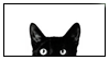 cat peek